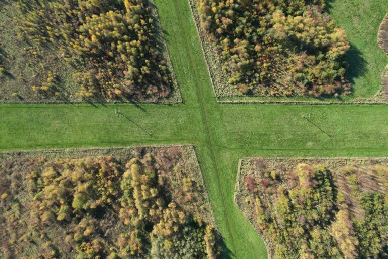 Drone shot capturing the intersection of forest and agricultural fields in England during fall.
