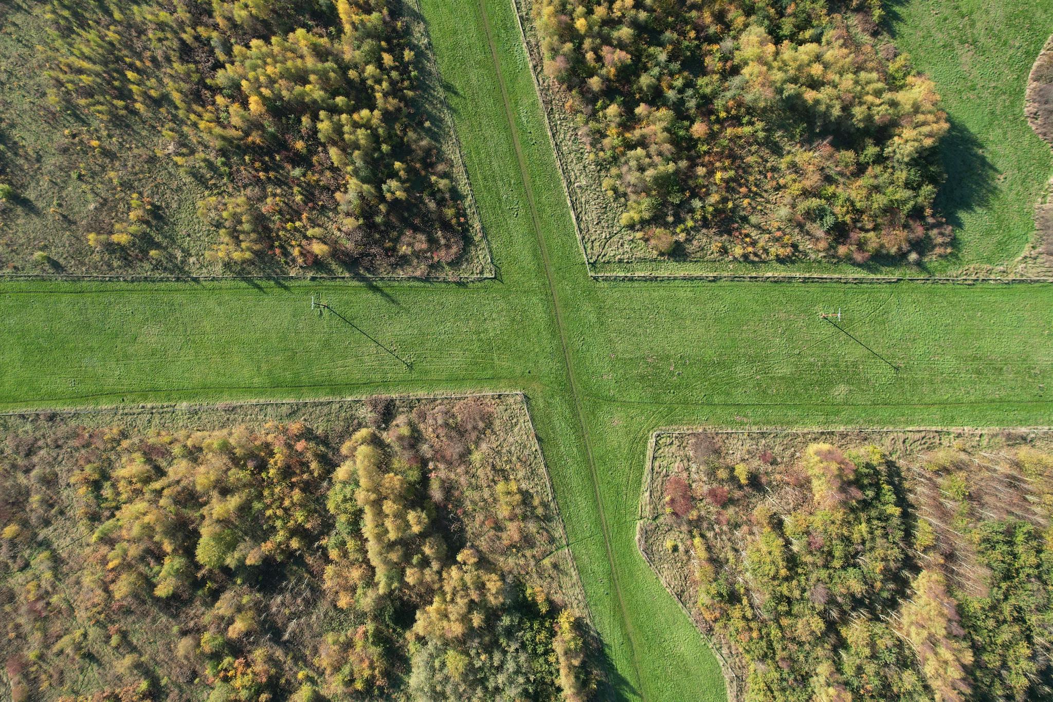 Drone shot capturing the intersection of forest and agricultural fields in England during fall.